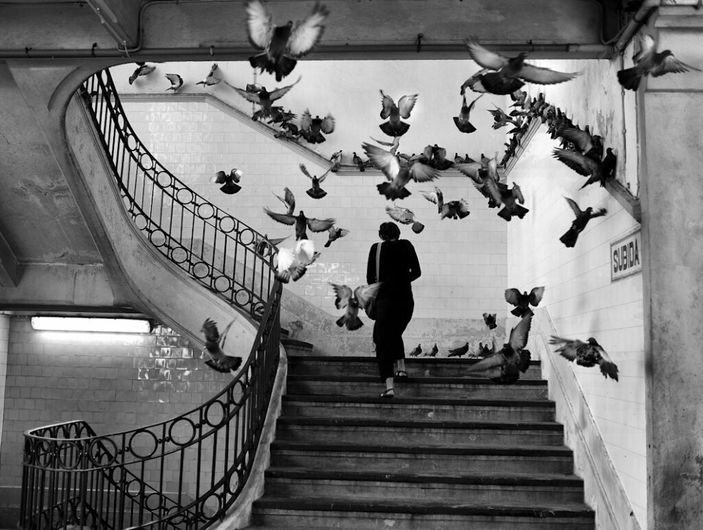mario benedetti literatura poesia amor sociedad 4