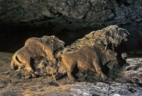 Hallan en una cueva francesa dos bisontes esculpidos con 15.000 años de antigüedad y en perfecto estado