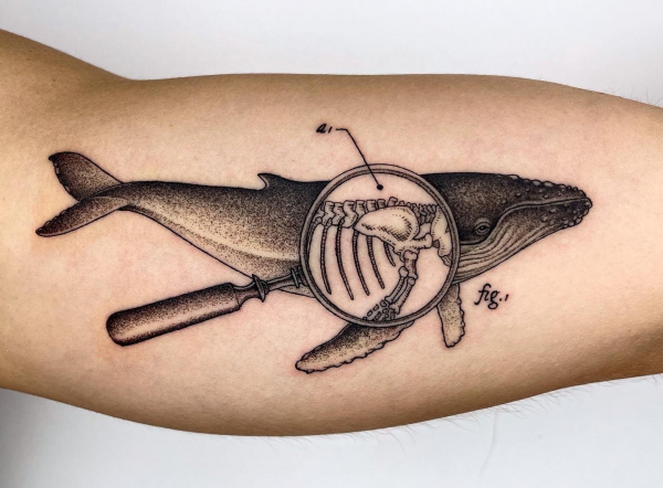 Michele Volpi tatúa algunas de las ilustraciones científicas más precisas