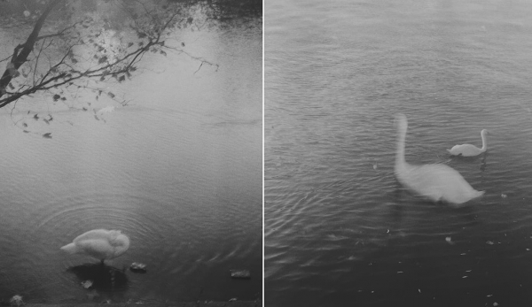 La fotógrafa Emilia Brandão Carneiro captura la intimidad y el romanticismo onírico del río Sena