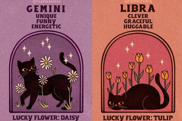 Los doce signos del zodiaco representados con simpáticas ilustraciones de gatos