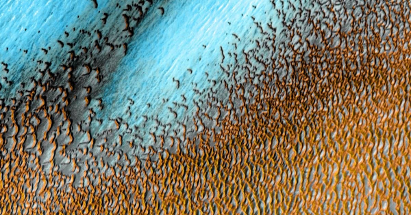 Un mar de dunas azules salpica la superficie de Marte en una foto de la NASA